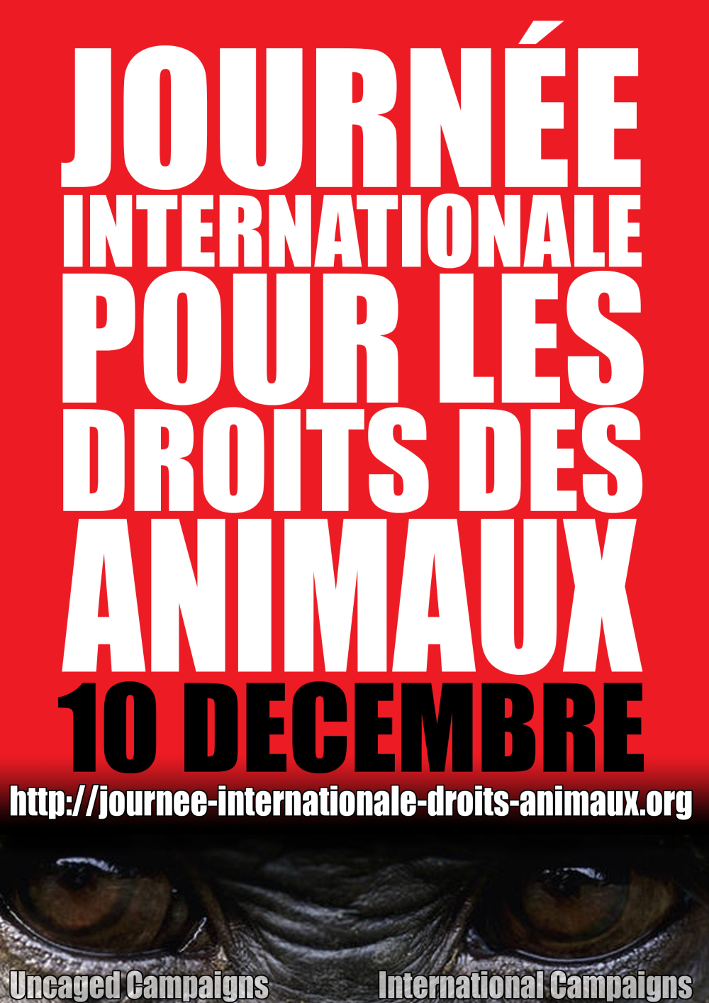 Aix les Bains – JIDA – Action de sensibilisation aux droits des animaux