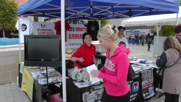 Journée Mondiale Animaux Laboratoires 2015 Nancy