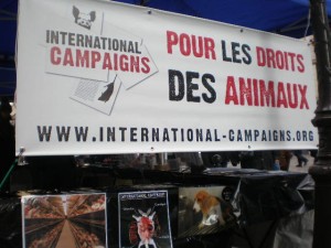 Déroulement stand IC IDF