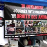 Jeudi 10 décembre 2020 – Revendiquons en ligne des droits pour les animaux