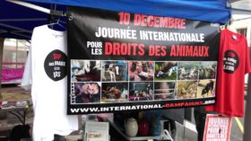 Jeudi 10 décembre 2020 – Revendiquons en ligne des droits pour les animaux